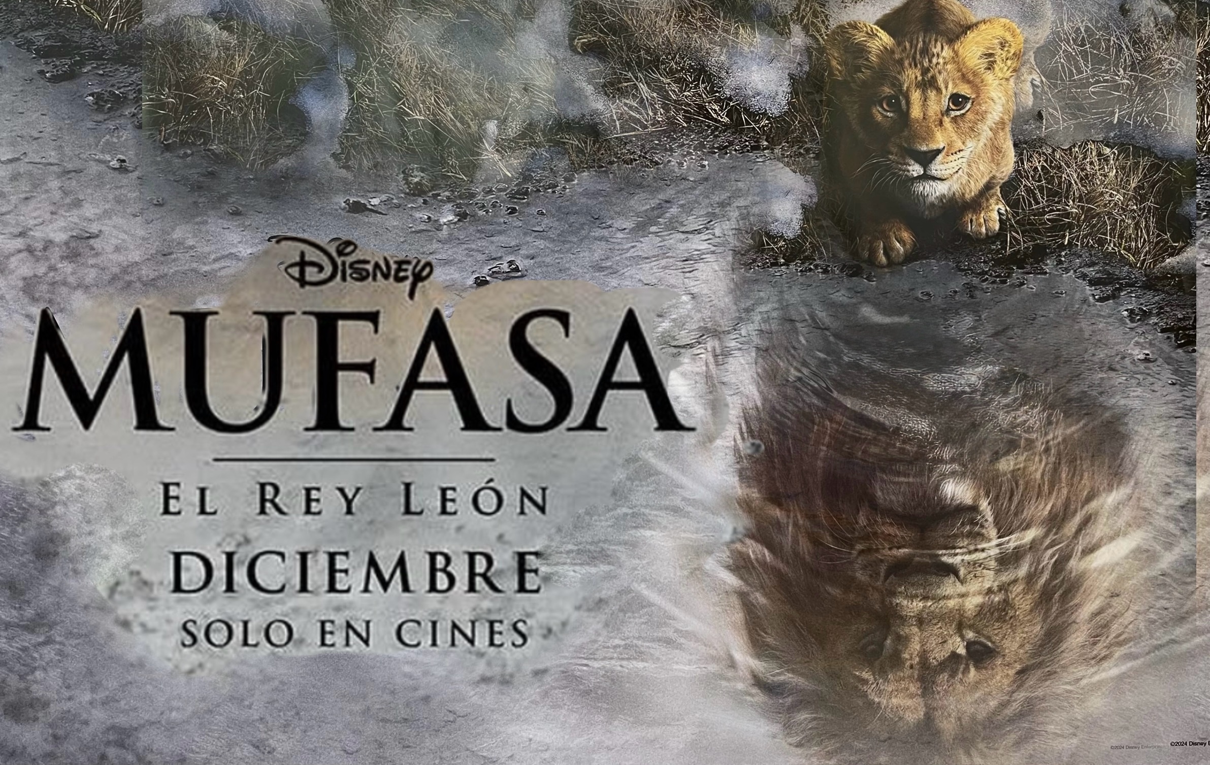 “Mufasa, El Rey León” es verdaderamente una joya real. La cinta está destinada a convertirse en un clásico instantáneo por su belleza y emotiva profundidad.  El mejor regalo navideño por parte de Disney al mundo.